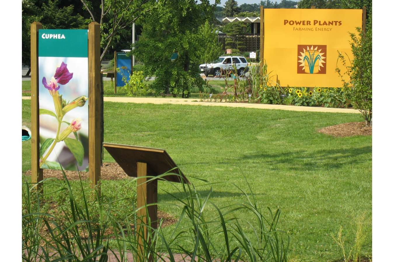 Ntl Arboretum : Power Plants uses a Variety of Displays to Interpret Bio-fuel Sources at the National Arboretum