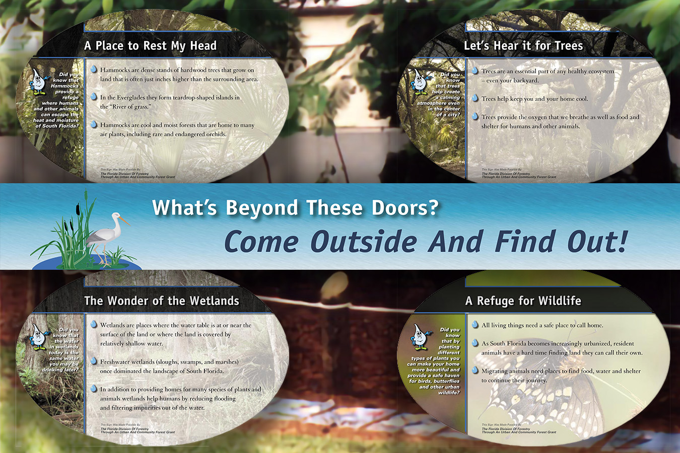 Mods 4 ovals : Oval Waysides in the Ecoscapes Garden at MODS Highlight Micro Environments Found in South Florida