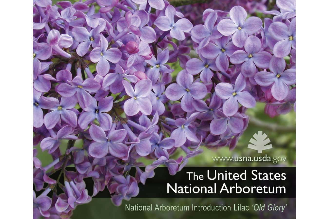 Arbor 5MAG  : US Arboretum Brand refrigerator magnet Promo Gift for Visitors