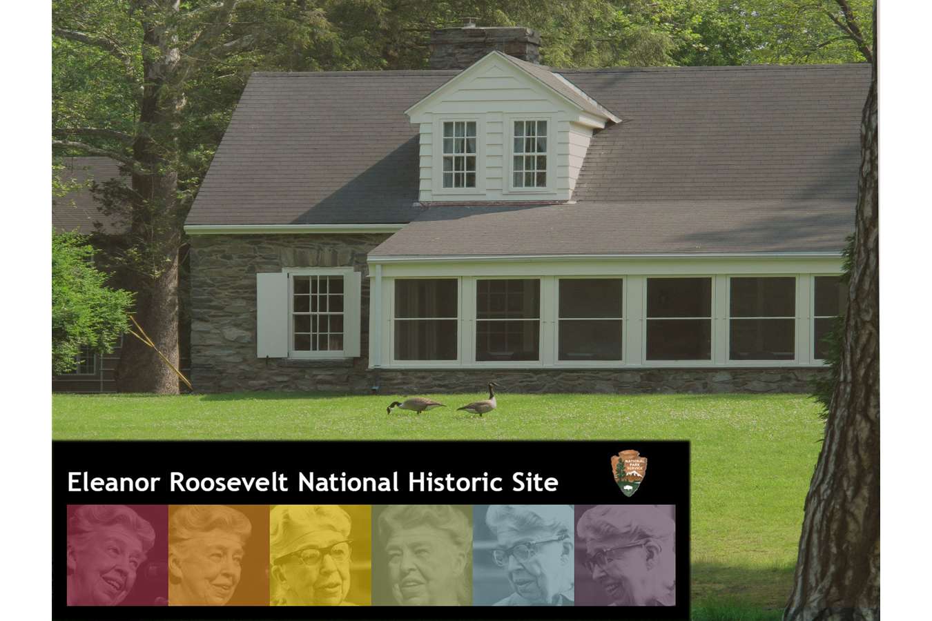 ELRO Logo : For Eleanor Roosevelts Val Kill Home, we created an Iconic NPS Identity that relates to key aspects of E.R.'s life, color coding is used throughout exhibit areas.