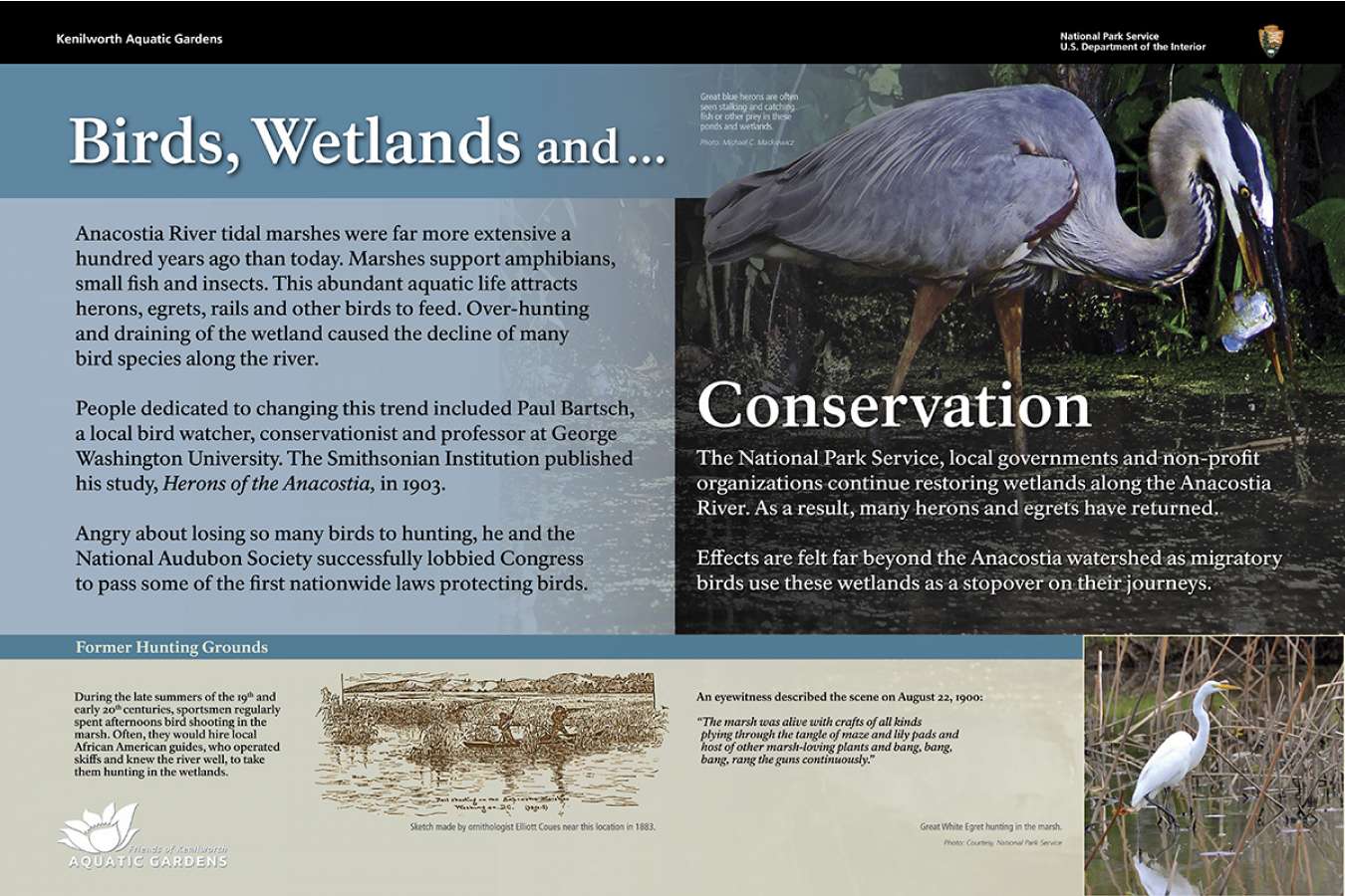 fokag 4 : Conservation is a big part of the Park's History including some of the first federal laws to protect birds.