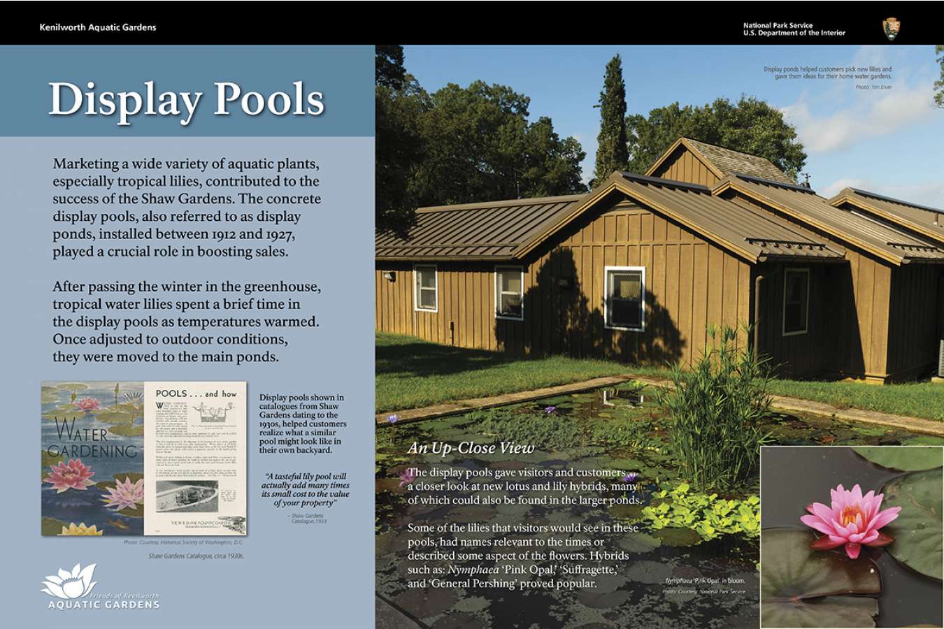 fokag 6 : The original display ponds are still used for showcasing water lily specimens.