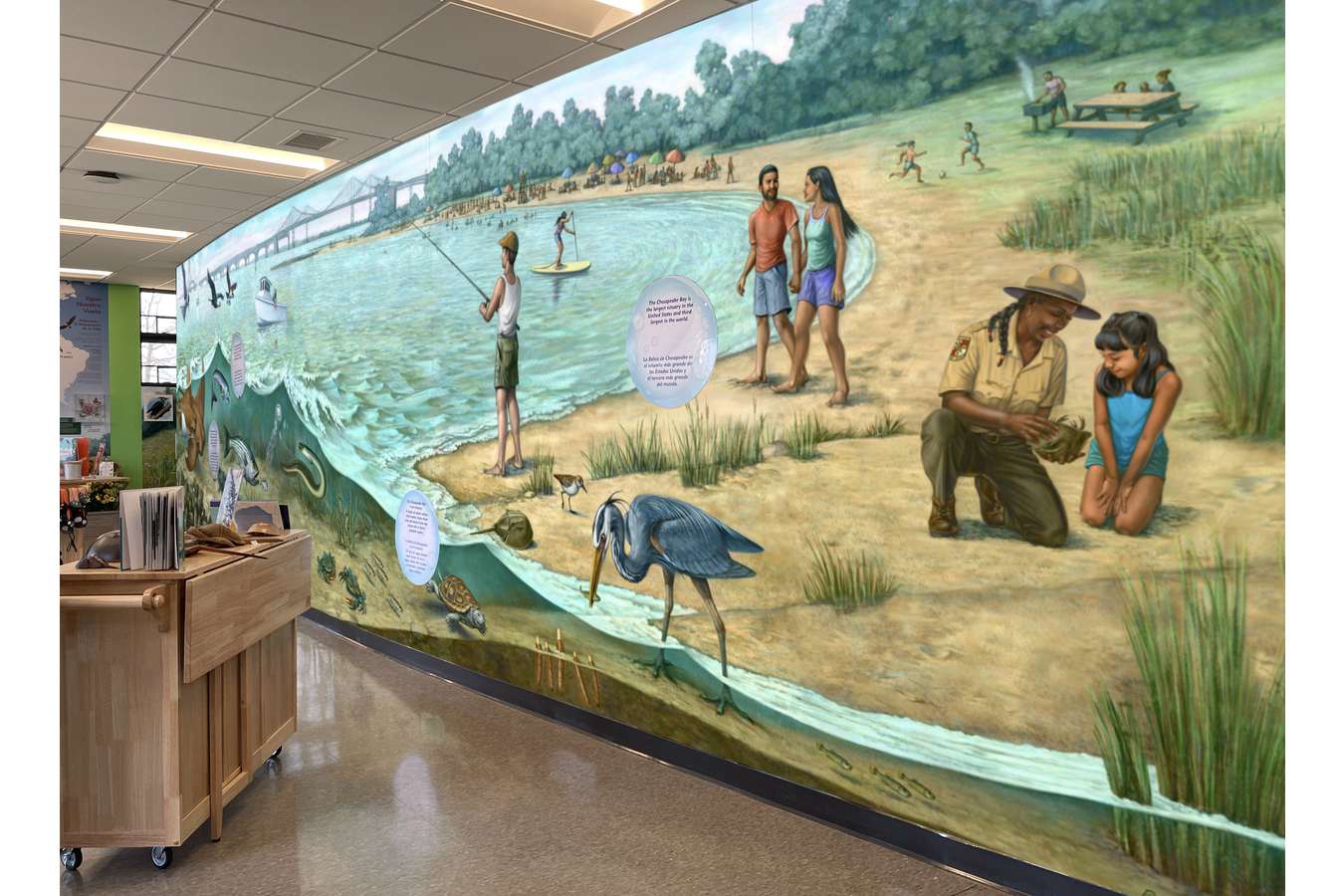 SPVC Mural Drop In : 40' Mural of Sandy Point Beach, illustrates the local environment near the Chesapeake Bay Bridge. 
