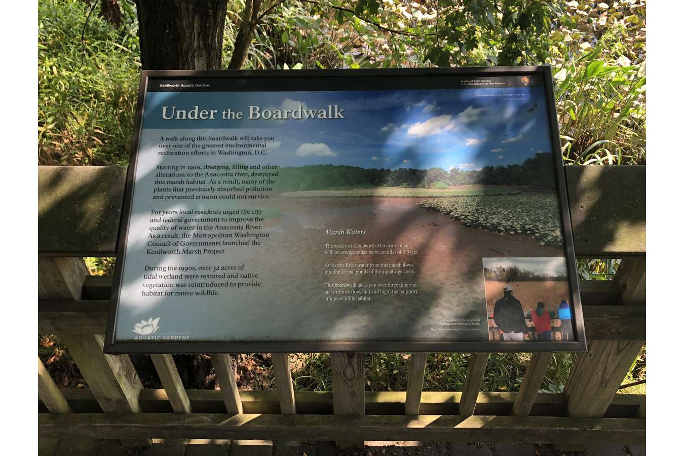 10 under boardwalk : Along the boardwalk, custom rail mounted waysides lead out to the marsh zones on the Anacostia River.