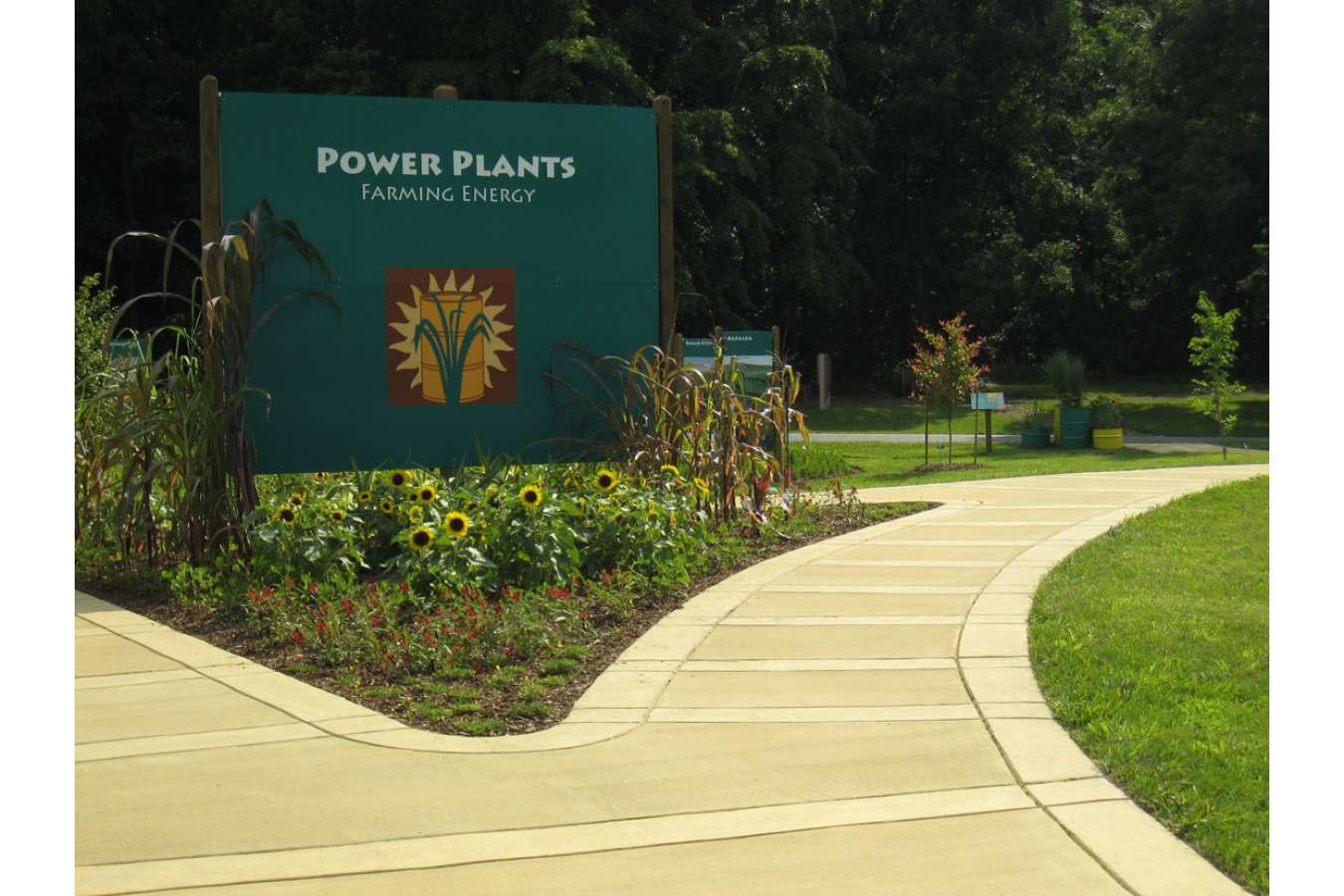 Arbor 1Prev : Entrance to Power Plants at the National Arboretum